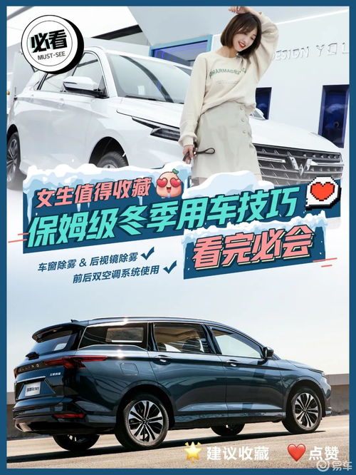 蒲城汽车保姆价格多少 蒲城汽车保姆价格多少